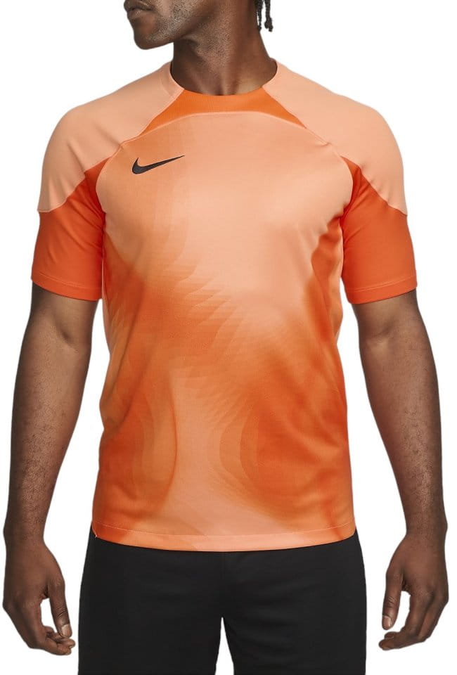 Camisa Nike M NK DFADV GARDIEN IV GK JSY SS
